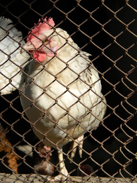 根據統計 根據統計