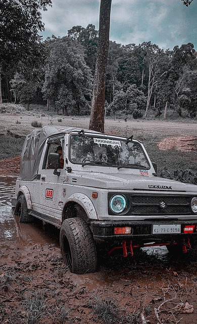 这让广东男 这让广东男