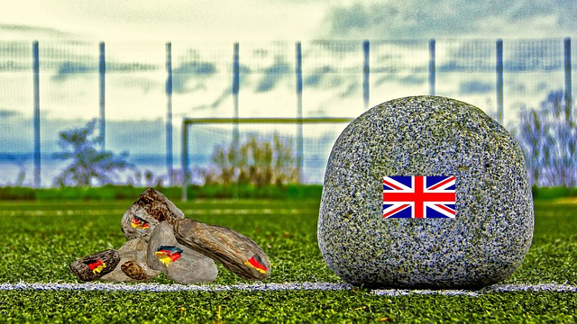 他以顽强的 他以顽强的